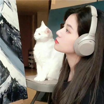盒子